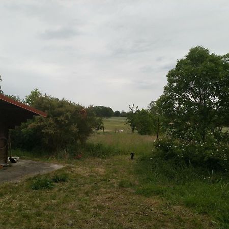 New Home Langendorf  Zewnętrze zdjęcie